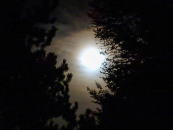 Low angle view of moon in sky