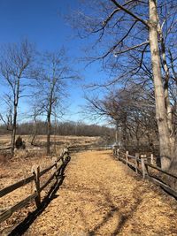 Bare trees on field against clear sky