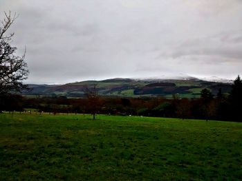 Scenic view of grassy field against cloudy sky