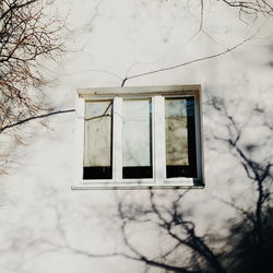 Low angle view of bare tree against building