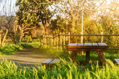 Gazebo on field against trees