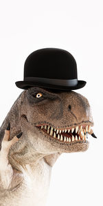 hat