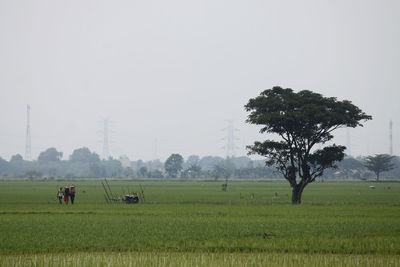 People working on agricultural field against sky