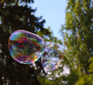 Close-up of bubbles against blurred background