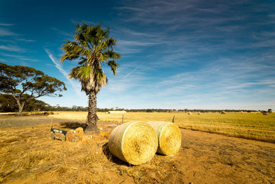 Hay bales on field against sky