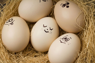 High angle view of eggs