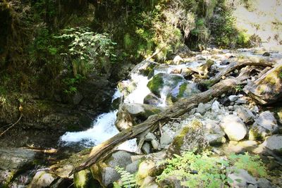 Stream flowing through rocks in forest