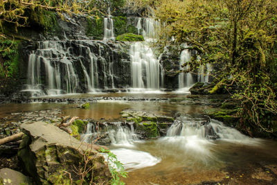 Scenic view of waterfall in forest