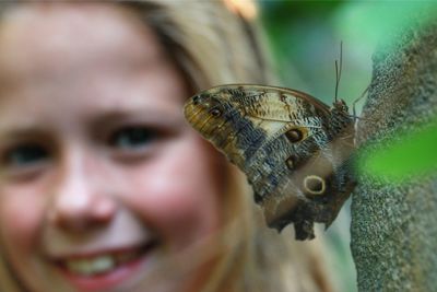 Close-up of smiling girl looking at butterfly