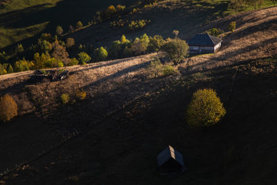 High angle view of road amidst trees on field