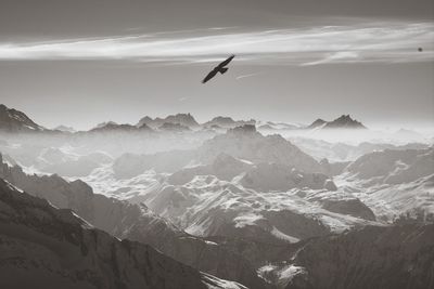 Bird flying over mountain range against sky