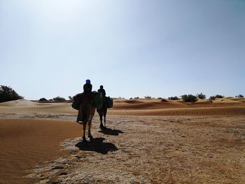 Rear view of people on camel walking in desert