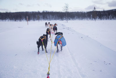 People on snow covered field