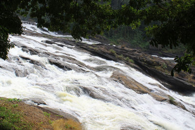 Scenic view of waterfall in forest