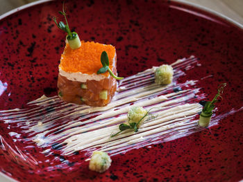 High angle view of salmon tartare with avocado served in plate