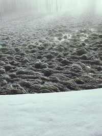 Close-up of snow on beach