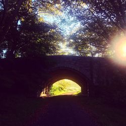 Arch bridge and trees in tunnel