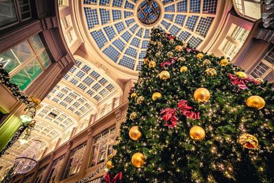 Low angle view of illuminated christmas tree