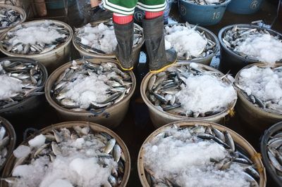 Low section of man wearing rubber boots standing on fresh fish baskets at market