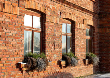 View of the window of a red brick house, dry plant decorations by the window, winter