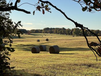 Hay bales on field against sky