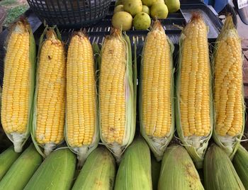 Close-up of sweetcorns for sale at market stall