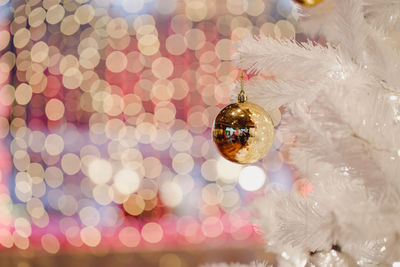 Close-up of illuminated christmas tree