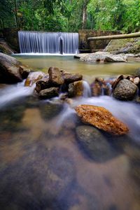 Scenic view of waterfall