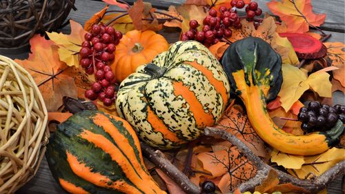 High angle view of pumpkins and nuts in market / autumn fruits