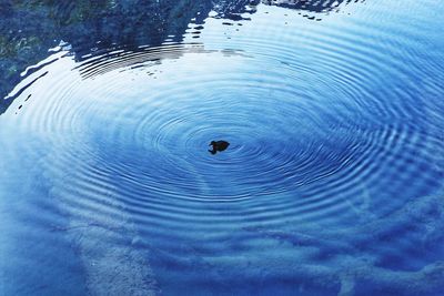Reflection of clouds in water