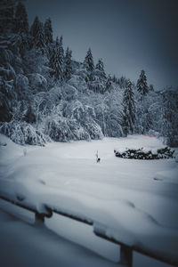 Scenic view of snow covered landscape