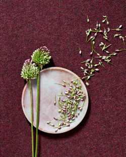 Directly above shot of plants in bowl