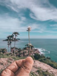 Midsection of person holding plant against sea