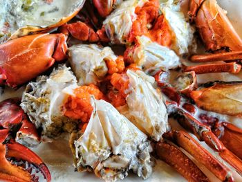 High angle view of steamed crab in plate