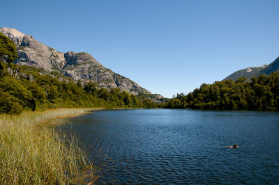 Scenic view of lake against clear blue sky