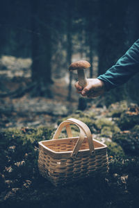 Man holding mushroom in basket