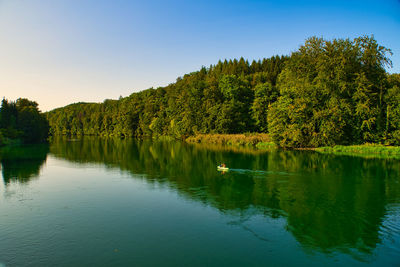 Scenic view of lake in forest against sky