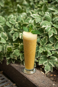 Close-up of drink on table