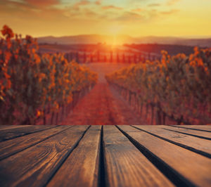 Surface level of boardwalk against orange sky