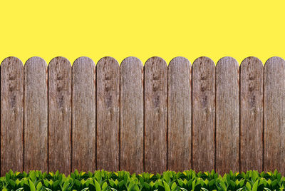 Close-up of yellow fence against plants