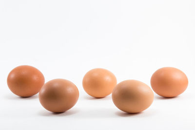 Close-up of eggs against white background