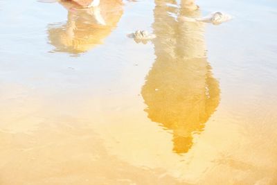 High angle view of reflection in sea