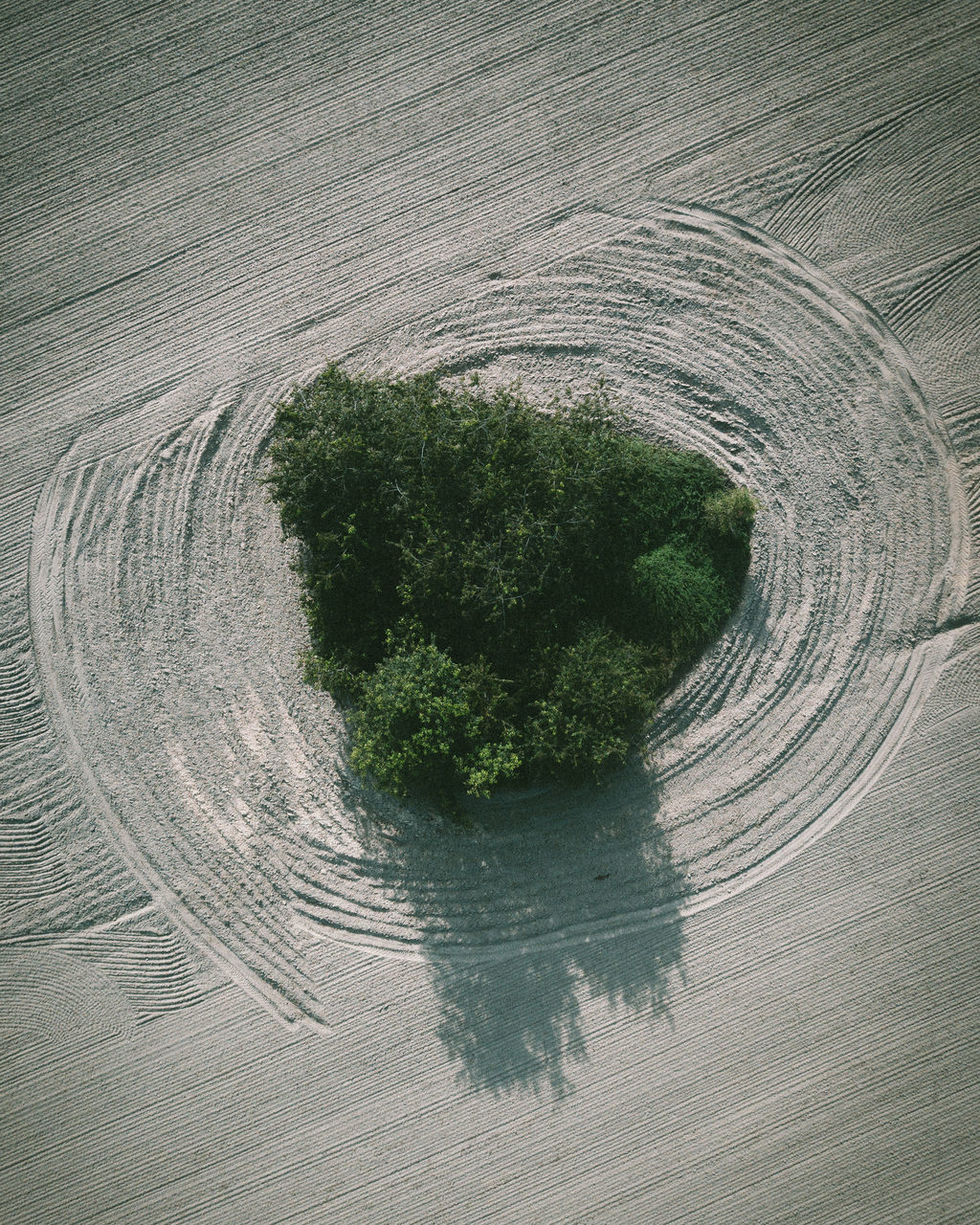 HIGH ANGLE VIEW OF LAND