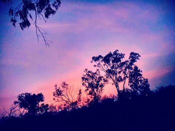 Low angle view of silhouette trees against sky at sunset
