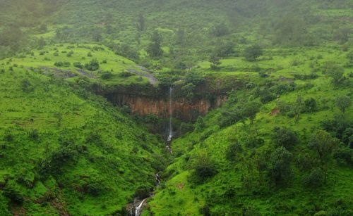 Scenic view of agricultural field