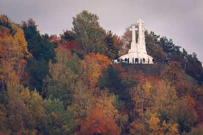 Trees and plants against sky during autumn