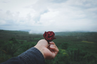 Midsection of person holding red flower on field