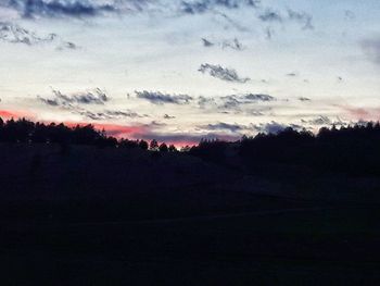 Silhouette trees on field against sky at sunset