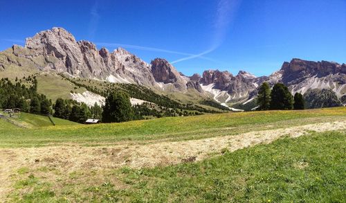 Scenic view of field against clear blue sky