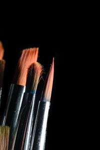 Close-up of paintbrushes against black background